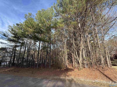 /international/us/sweetwater-lane-lot-3-rainbow-city-al-110104192622/