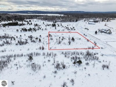 /international/us/6412-lora-bette-drive-alanson-mi-110105644768/
