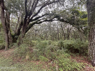 /international/us/4-carnochan-lane-se-lot-4-darien-ga-110120458590/