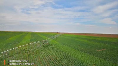 /international/us/county-rd-335-plains-tx-110119985383/