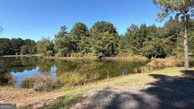 /international/us/edna-moore-road-eastman-ga-110120044380/