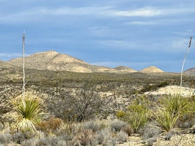/international/us/540-blue-ridge-rd-terlingua-tx-110096311846/?lang=zh-cn