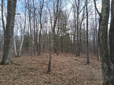 /international/us/3-pierce-homestead-road-trego-wi-110104873362/