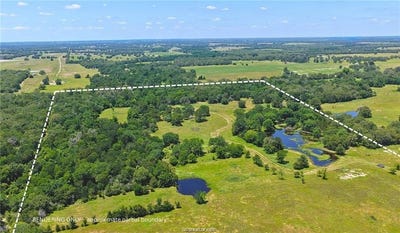/international/us/5380-county-road-132-81-acres-somerville-tx-110110309669/