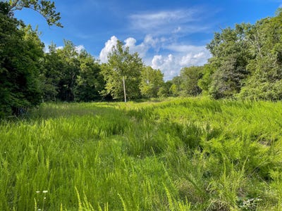 /international/us/tbd-varvel-road-willow-springs-mo-110097837178/?lang=zh-cn
