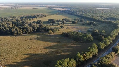 /international/us/6514-newton-highway-colquitt-ga-110095449097/