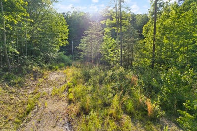 /international/us/165-chaneyville-road-stanton-ky-110101196768/