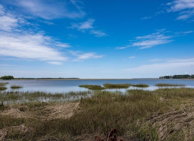 /international/us/34-creekmoor-lane-seabrook-sc-110107718902/