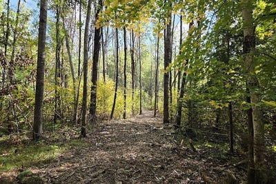 /international/us/5-national-trail-crandon-wi-110120156930/