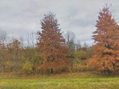 /international/us/1240-route-31-clinton-twp-nj-110088211928/