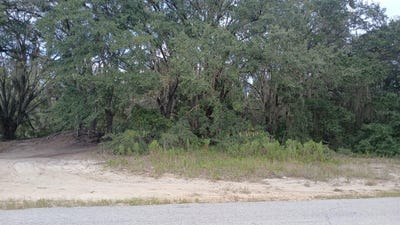 /international/us/se-malauka-loop-run-road-ocklawaha-fl-110110417939/