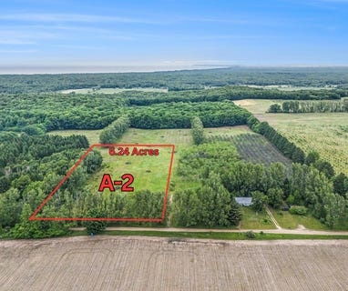 /international/us/6-24-acres-w-tyler-road-mears-mi-110100454871/?lang=zh-cn