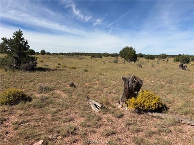 /international/us/301-31-313-n-hyde-park-rd-seligman-az-110119935209/