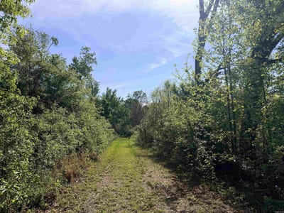 /international/us/county-road-912-hamburg-ar-110107073632/