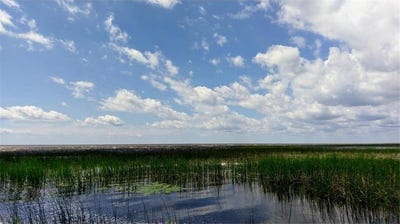 /international/us/57528-blue-goose-lane-ne-waskish-twp-mn-110107685223/