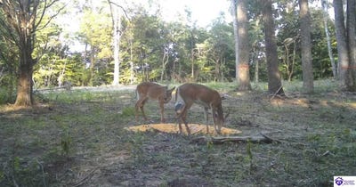 /international/us/fuller-harding-road-lot-parcel-k-campbellsville-ky-110120512103/