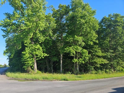 /international/us/lot-1-e-sunset-ave-greensboro-md-110108068733/