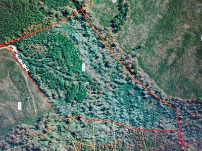 /international/us/629-henry-s-trail-nathalie-va-110109713354/
