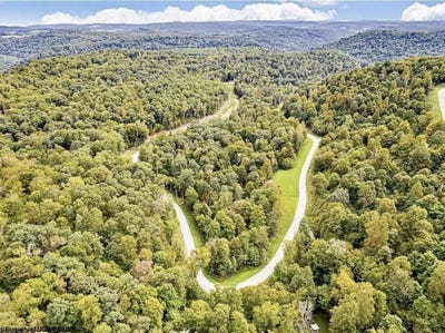 /international/us/87-whitewater-parkway-bruceton-mills-wv-110108960486/