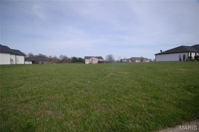 /international/us/4017-autumn-oak-drive-smithton-il-110098406335/