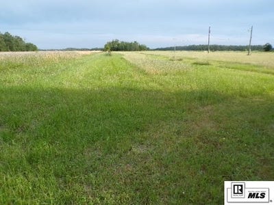 /international/us/137-pony-greer-road-rayville-la-110108683437/