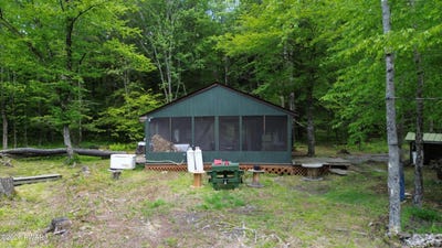 /international/us/94-e-swamp-road-pleasant-mount-pa-110108579336/