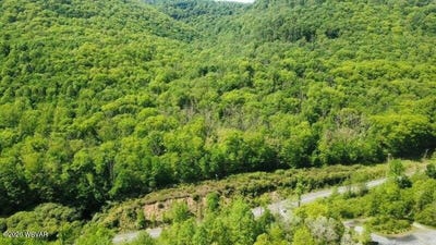 /international/us/007g-monument-orviston-road-beech-creek-pa-110119493436/