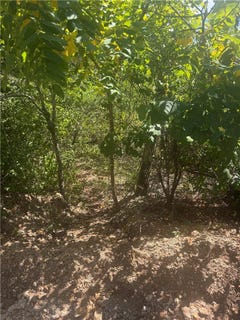 /international/us/tbd-lot-25-cardinal-lane-lot-25-diamond-city-ar-110109701075/