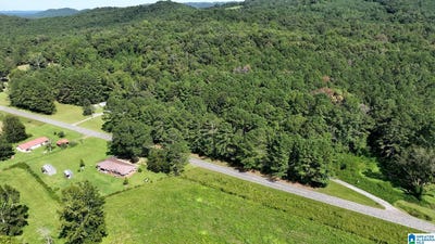 /international/us/gallant-road-lot-6-acres-gallant-al-110102358852/