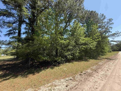 /international/us/new-bridge-rd-nichols-sc-110107452190/