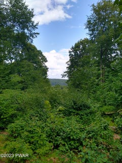 /international/us/445-summit-woods-road-roaring-brook-township-pa-110085977426/?lang=zh-cn
