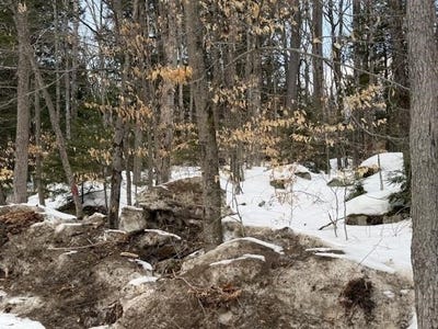 /international/us/map-6-lot-103-route-16-albany-nh-110106070522/