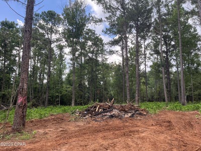 /international/us/2852-lovewood-drive-cottondale-fl-110100812784/