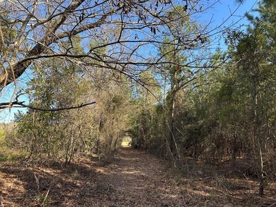 /international/us/2840-peach-orchard-road-dalzell-sc-110098215645/?lang=zh-tw