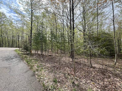 /international/us/1275-lone-oak-petoskey-mi-110107851363/
