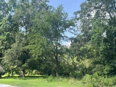 /international/us/parsons-road-summerville-sc-110109143623/