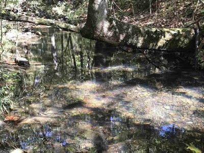 /international/us/96-acres-powell-hollow-road-williford-ar-110101231322/?lang=zh-tw