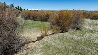 /international/us/40-mike-day-drive-white-sulphur-springs-mt-110106216899/