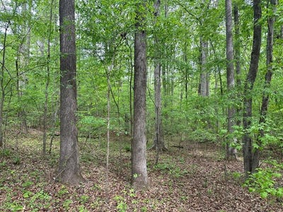 /international/us/lt-22-24-lakefront-drive-clarksville-va-110107382586/