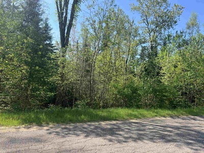 /international/us/forest-hill-drive-townsend-wi-110108342207/