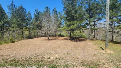 /international/us/co-rd-373-crane-hill-al-110107017600/