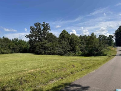 /international/us/short-town-road-lot-123-vance-al-110102175727/