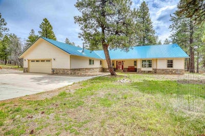 /international/us/1160-majestic-drive-pagosa-springs-co-110108121940/