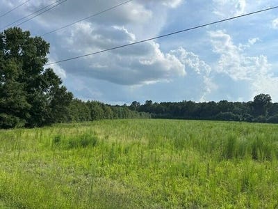/international/us/7-mile-road-lot-5-harleyville-sc-110109702073/
