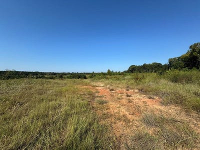 /international/us/pid-79229-highway-96-brookeland-tx-110105932333/