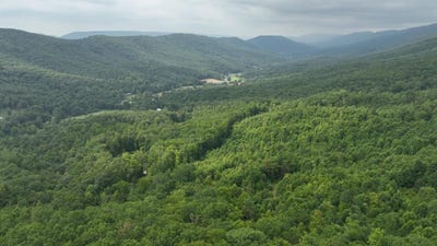 /international/us/laurel-dr-rocky-gap-va-110107686488/