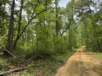 /international/us/104-homochitto-national-forest-road-meadville-ms-110107406202/