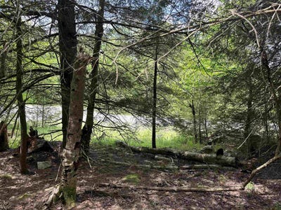 /international/us/gondola-court-lot-96-davis-wv-110092172034/