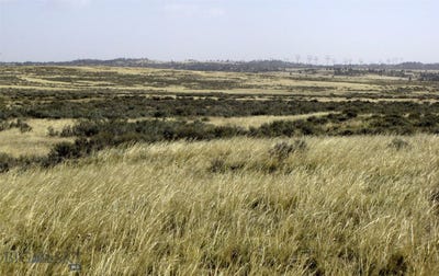 /international/us/tbd-lindstrom-road-shepherd-mt-110095604235/?lang=zh-tw