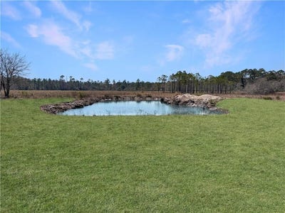 /international/us/0-humpback-road-other-hortense-ga-110098010262/